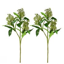 Artikel Kunstige blomster grønne Skimmia japonica Skimmie 45cm 2stk