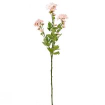 Artikel Kunstige Blomster Kunstige Asters Silkeblomster Pink 80cm