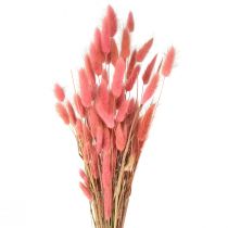 Artikel Lagurus Tørret kaninhale Græs Pink L45cm 50g