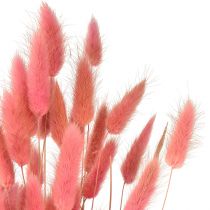 Artikel Lagurus Tørret kaninhale Græs Pink L45cm 50g