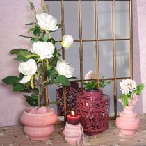 Artikel Lanterne med bladmotiv, soldrevet, til stemningsfuld udendørsbelysning, 25 cm