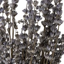 Artikel Tørret lavendel, duftende tørrede blomster, 35-40 cm, 50 g