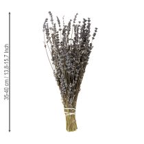 Artikel Tørret lavendel, duftende tørrede blomster, 35-40 cm, 100 g