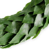 Laurelkrans Ø46cm grøn