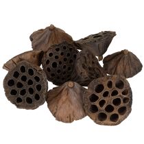 Artikel Lotus stempel medium 100 stk naturlige