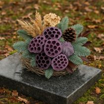 Artikel Lotus kapsler, tør blomster, lotus pære pink, hvidvasket 50 stk.