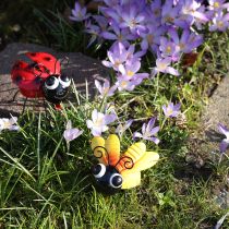 Artikel Ladybug Bee Metal Dekoration med Magnet Assorted 9,5cm 2stk