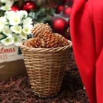 Artikel Maritima vafler creme-vanilje blandet 5-18 cm 25 stk.
