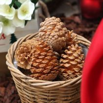 Artikel Maritima vafler creme-vanilje blandet 5-18 cm 25 stk.