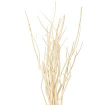 Artikel Mitsumata grene hvide 34-60cm 12 stk