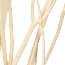 Artikel Mitsumata grene hvide 34-60cm 12 stk