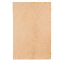 Artikel Mosbillede, ægte konserveret mos og kviste, naturligt, 60×40 cm