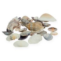 Artikel Naturlig muslingeblanding 400g
