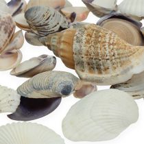 Artikel Naturlig muslingeblanding 400g
