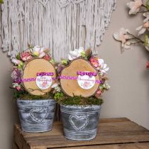 Urtepotte shabby chic plantekasse metalhjerte Ø17cm H13,5cm