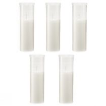 Artikel Refill lys til gravlys hvid 84h H17cm 5 stk