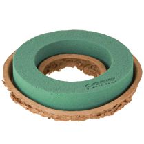 Artikel OASIS® Biolit® Ring/Krans 17cm 6 stk