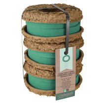 Artikel OASIS® Biolit® Ring/Krans 17cm 6 stk