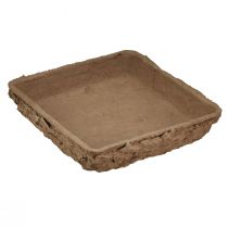 Artikel Oasis Biolit underlag ½ blomstret skummursten 13×13×2cm 12 stk.