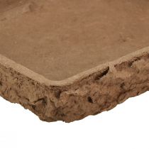 Artikel Oasis Biolit underlag ½ blomstret skummursten 13×13×2cm 12 stk.