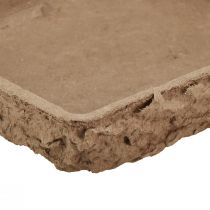 Artikel Oasis Biolit underlag til 2 blomstrede skumfliser 48×13×2cm 7 stk.