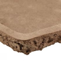 Artikel Oasis Biolit underlag til blomstrede skummursten 25×14×2cm 11 stk.