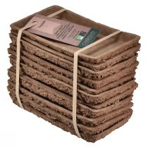 Artikel Oasis Biolit base til blomsterskumklodser 25×14×2 cm, 11 stk. - Bæredygtige blomsterarrangementer, blomstertilbehør