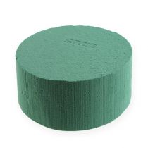 Artikel OASIS® Ideal cylinder lille 14cm 4 stk