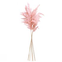 Artikel Tørret Pampasgræs Pink 65-75cm Tørrede Blomsterdekorationer 6 stk.