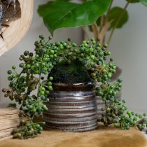 Artikel Grøn plante kunstig perlesnor i moskugle 38cm