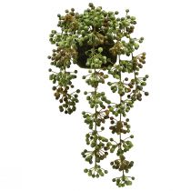 Artikel Grøn plante kunstig perlesnor i moskugle 38cm