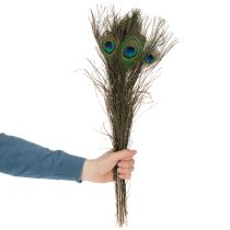 Artikel Påfuglefjer, ægte fuglefjer til kreativt brug og dekoration, 55 cm, 10 stk.