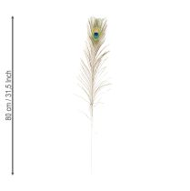 Artikel Påfuglefjerdekoration ægte fuglefjer lange 75-85 cm 8 stk.