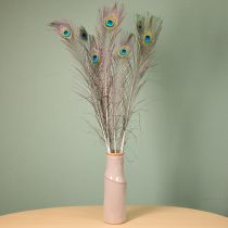 Artikel Påfuglefjerdekoration, ægte fuglefjer, lange 75-85 cm, 8 stk.