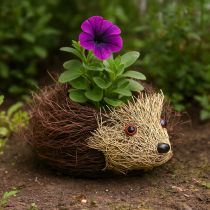 Artikel Pindsvinepotte lavet af slyngplanter 22 cm x 25 cm