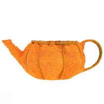 Artikel Planteplante græskardekoration orange gulgrøn Ø19cm H12cm