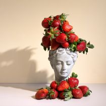 Artikel Plantehoved buste gråblå Ø8cm H15cm