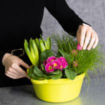 Artikel Plademetalplantekasse, forårsdekoration til stuen, 25 cm, 3 stk.