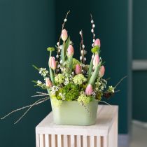 Artikel Planteskål oval grøn skål plastik 20×10×11 cm 3 stk.