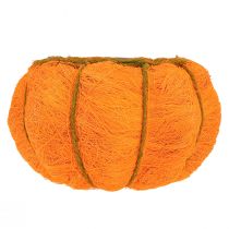Artikel Plantepotte græskardekoration orange/gulgrøn sisal Ø21cm H12cm