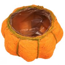 Artikel Plantepotte græskardekoration orange/gulgrøn sisal Ø21cm H12cm