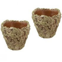 Artikel Plantekrukke rustikt skovlook plantekasse Ø12,5cm H12cm 6stk