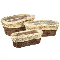 Artikel Plantebakke, naturligt træ, 3-farvet, L29,5/25/23 cm, sæt med 3