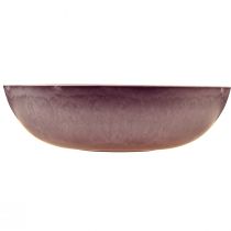 Artikel Elegant lilla plastikskål 37x10,5 cm - alsidig til dekoration - 3 stk.