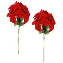 Artikel Storslået julestjerne - Julestjerne i rød - 46 cm 6 stk 2 bundter