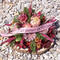 Artikel Protea rosetlyng frostet Ø8-9cm 25 stk
