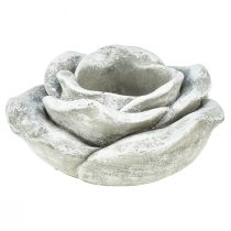 Artikel Rose grav dekoration bord dekoration lysestage grå hvid Ø14cm H7cm
