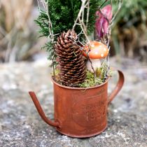 Artikel Rust dekorativ vandkande mini plantekrukke metal Ø10cm H9cm
