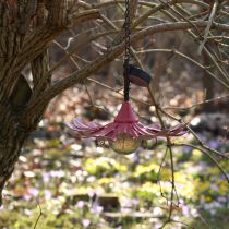 Artikel Solar LED Blomsterhave Lys LED Metal Pink Ø30cm