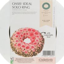 Artikel OASIS® Blomsterskumkransring Grøn H3cm Ø25cm 6 stk